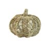 Seagrass Pumpkin Viettimecraft Wholesale