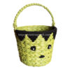 water hyacinth halloween basket hulk